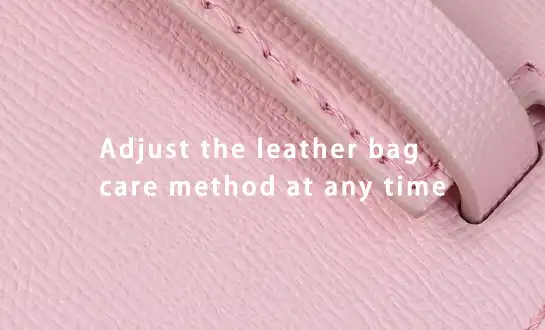 leather bag care method
